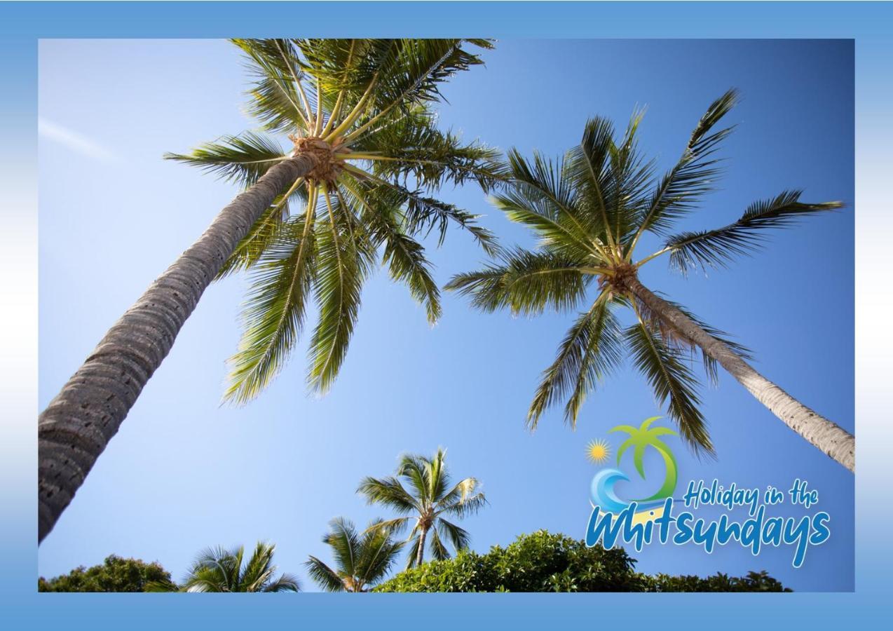 Ocean View 16A Studio Pool & Spa Wi-Fi Airlie Beach Ngoại thất bức ảnh
